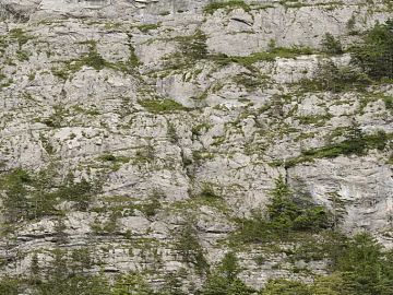 Light gray rock mountain wall texture (ID:ffaeh723516)