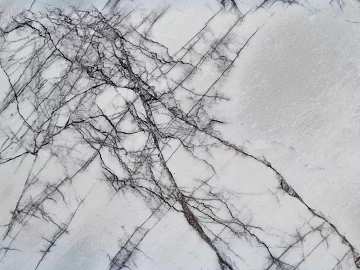 Mesh pattern marble fragrant plum gray marble texture (ID:ffajg43969)