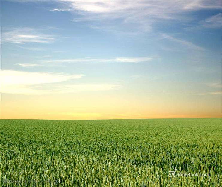 Wild Scenery texture