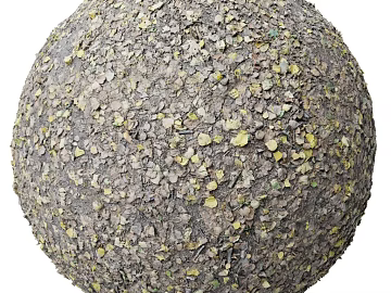 deciduous ground PBR texture (ID:ffach078781)