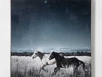 Animal painting texture (ID:ffaag64138)