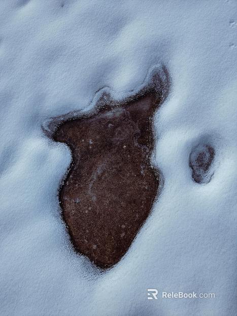 Snow texture