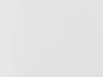 Cement white ash wall surface 3d model