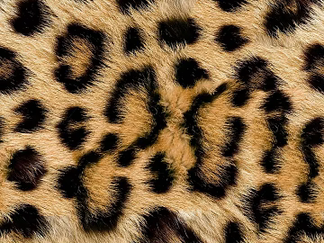 leopard animal fur fur leather textured faux fur (ID:ffach467354)
