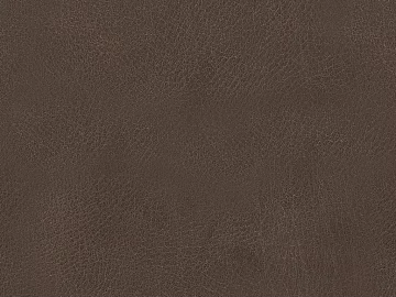 fine grain leather 3d model