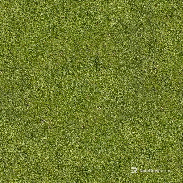 ground grass lawn turf plants sand texture