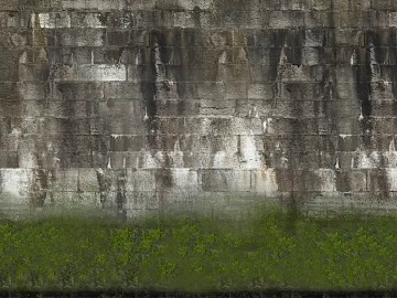 Moss texture (ID:ffaeh097046)