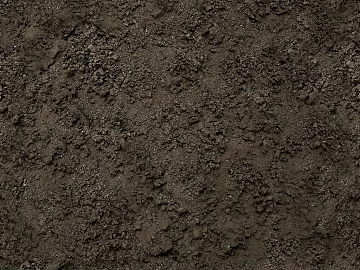Mud 3d model