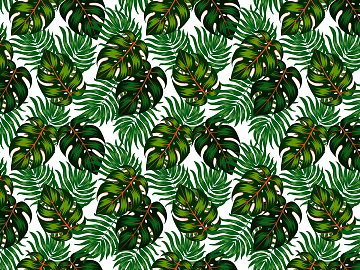 European palm plantain plant foliage background texture (ID:ffach427406)