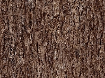 bark texture (ID:ffacg98582)