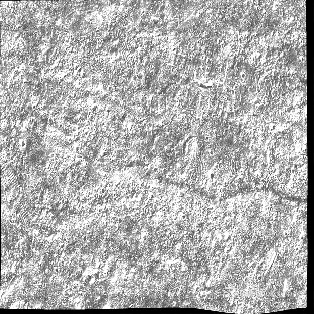 Grey Rough Rock Wall Stone texture