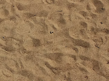 Beach texture (ID:ffajg55505)