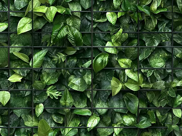 Plants texture (ID:ffach863348)