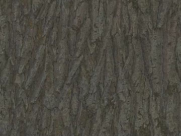 bark texture (ID:ffajg24191)