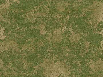 Lawn Turf Ground Grass Plants Grass Shrubs Green Planting Ground texture (ID:ffach639806)