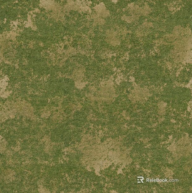 Lawn Turf Ground Grass Plants Grass Shrubs Green Planting Ground texture