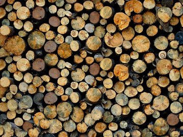 Log color solid wood section background wall texture (ID:ffaeh901589)