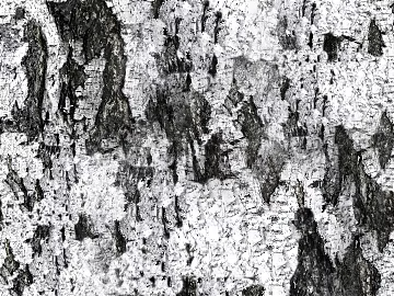 Black and White Bump texture (ID:ffagg41546)