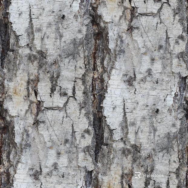 bark texture