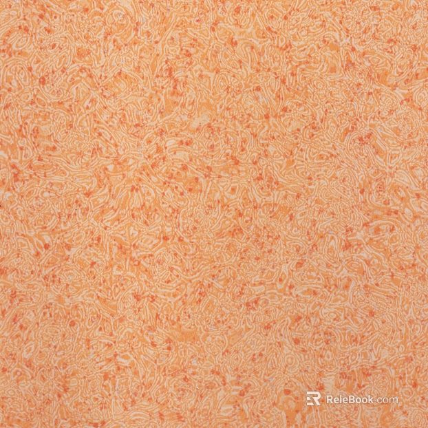 Wall Coat texture