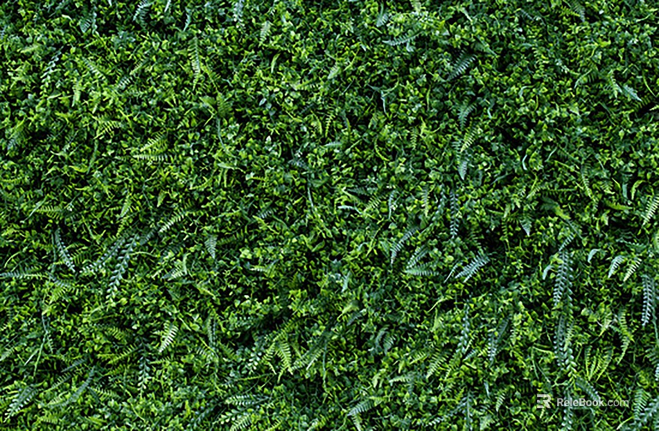 Plants texture