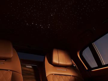 Light Luxury Brown Soft Bag Leather Car Interior 3d model