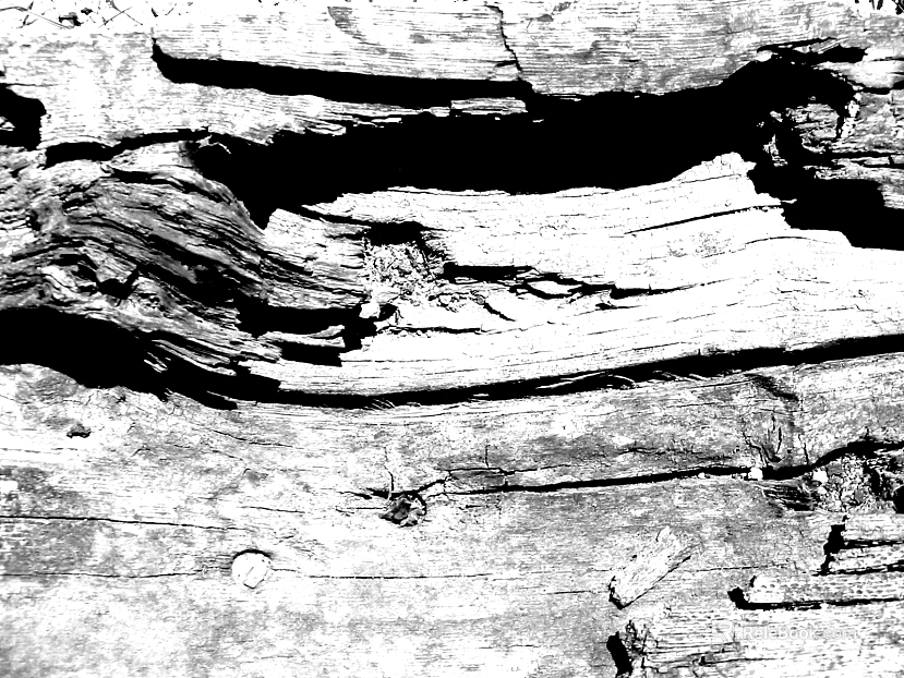 Rock texture