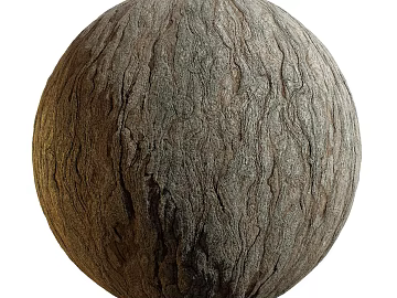 East Asian Bark PBR texture (ID:ffach440124)