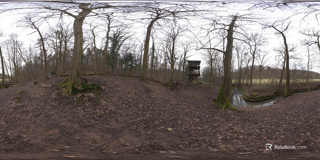 Outdoor Woods Day HDR Map texture