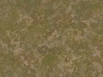 Turf texture (ID:ffajg77534)