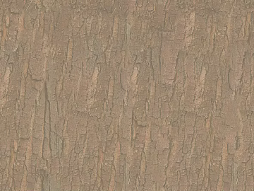 bark texture (ID:ffaag65677)
