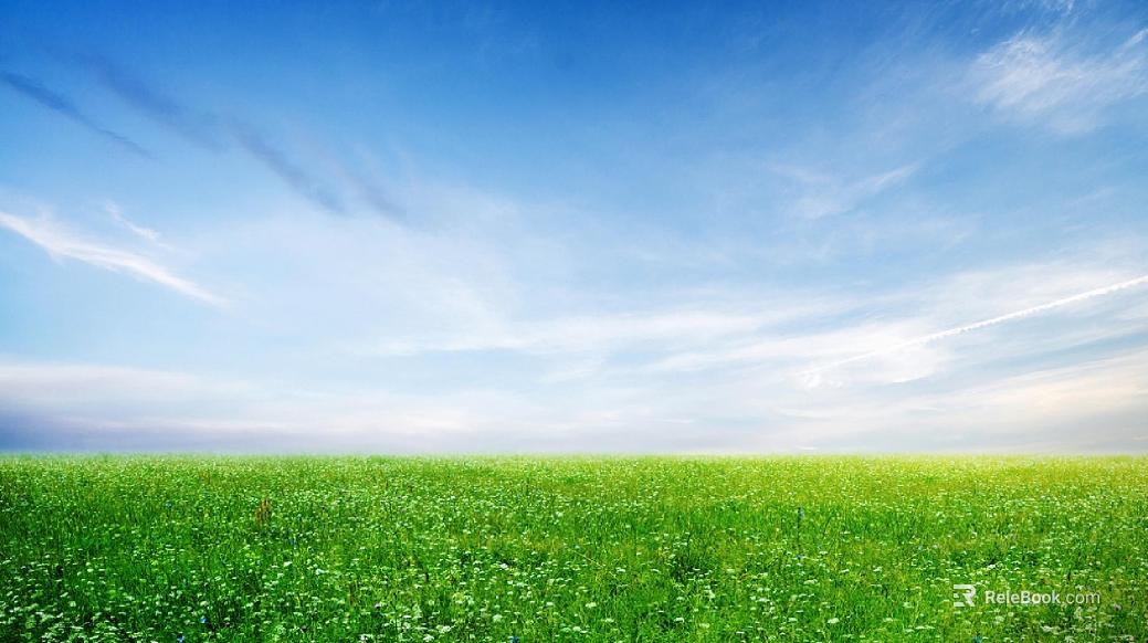 Wild Scenery texture