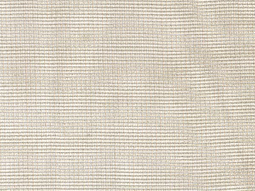 plain cloth 3d model