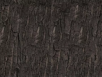 bark texture (ID:ffach009756)