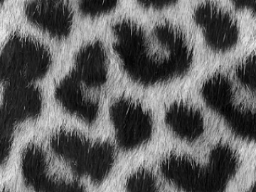 Black and White Leopard Animal Skin Soft Fabric 3d model
