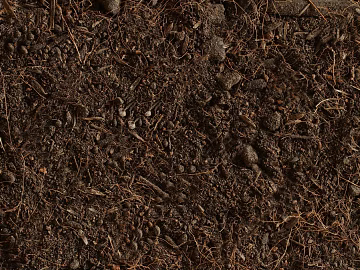 Ground texture (ID:ffaeg59866)