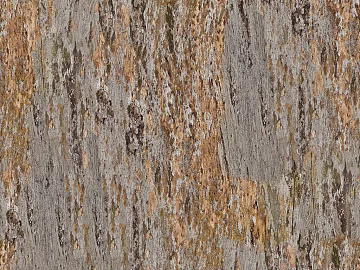 bark texture (ID:ffabg36435)