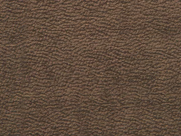 Hotel Carpet Room Carpet Clubhouse Carpet Brown Carpet Plush Carpet Pellet Carpet Wool Carpet Dark Carpet texture (ID:ffaeh112377)