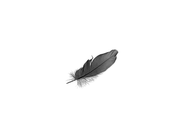leaves texture (ID:ffagg79474)