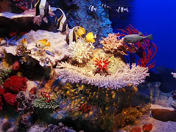 Fish tank texture (ID:ffach044674)