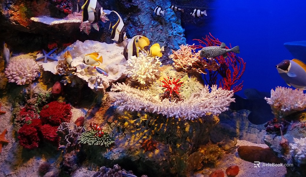 Fish tank texture