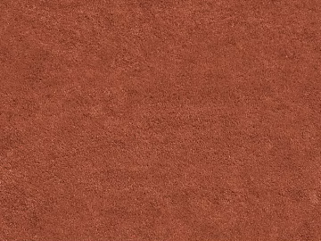 Grassland texture (ID:ffaeg32992)