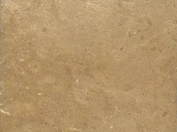 Brown Brown Brown Mesh Marble Mesh Marble texture (ID:ffajg73397)