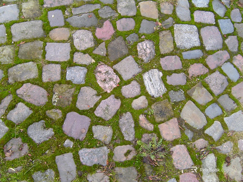 Stone Paving texture