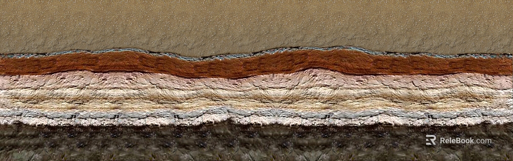 Paint texture