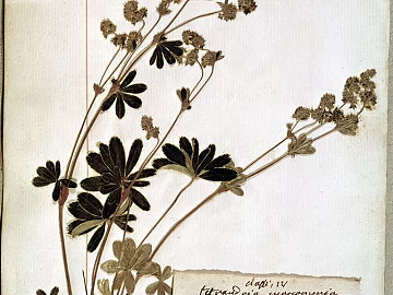 three-dimensional physical painting texture (ID:ffabg01907)