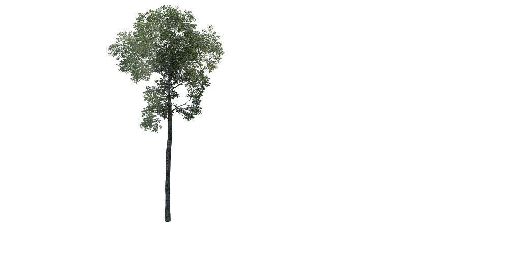 Green Arbor Landscape texture