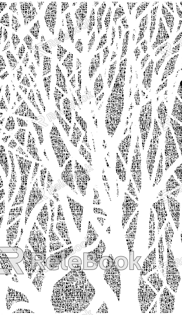 black and white tree shadow texture