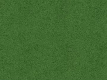 fine grain leather texture (ID:ffaeg39947)