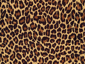 animal skin texture (ID:ffadf8212)